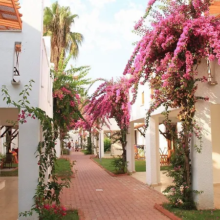 Club Kastalia Village 5* Konakli
